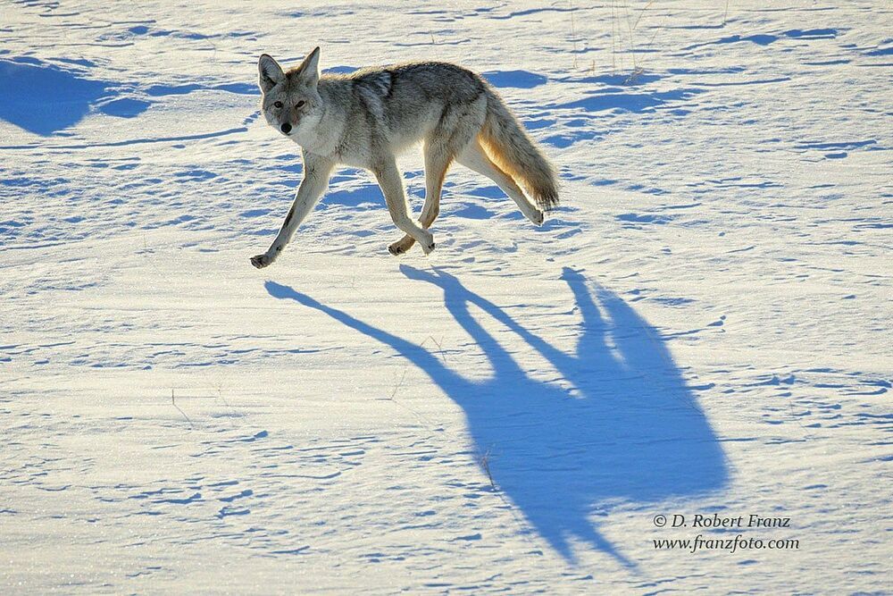Photo 2162864
