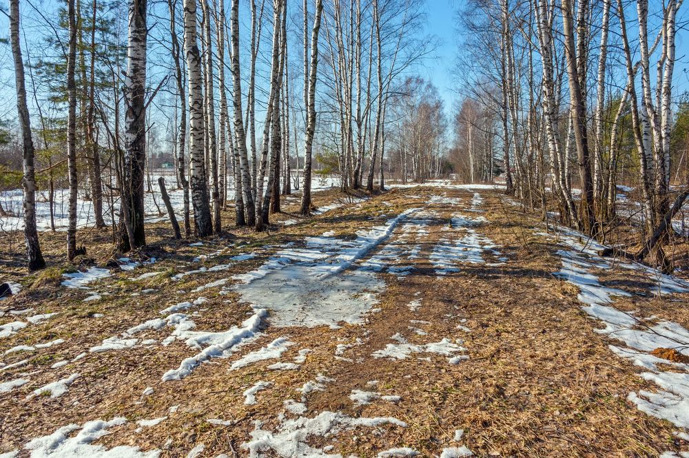 Конец февраля