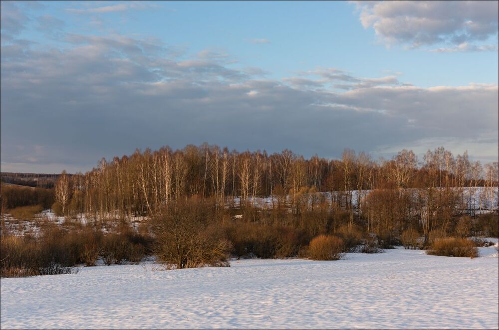 Белая весна. Вечер.
