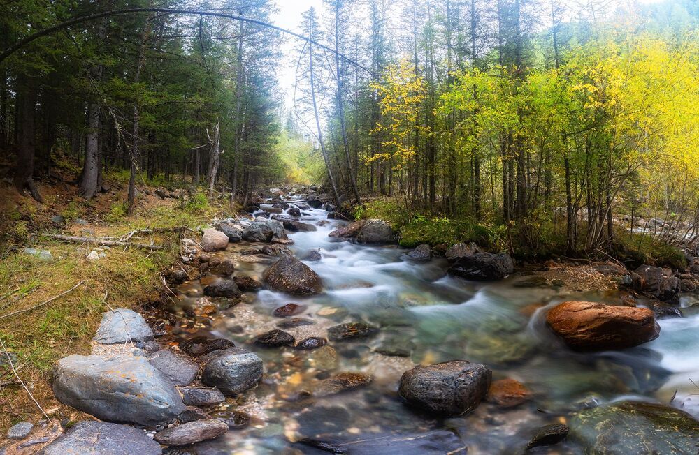 Портфолио из фотографий Горного Алтая