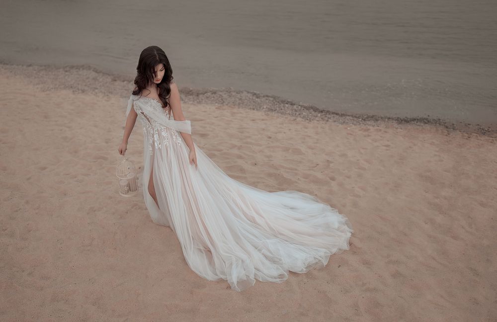 Lost dream