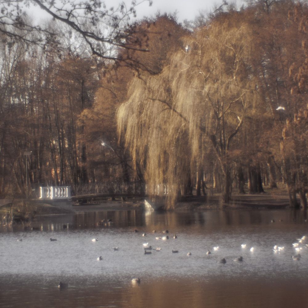 В парке