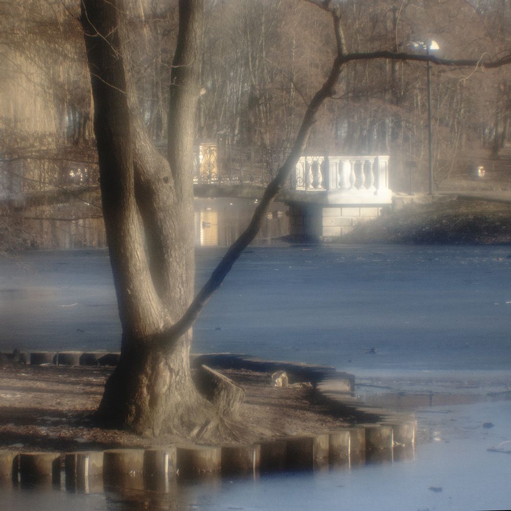 В парке