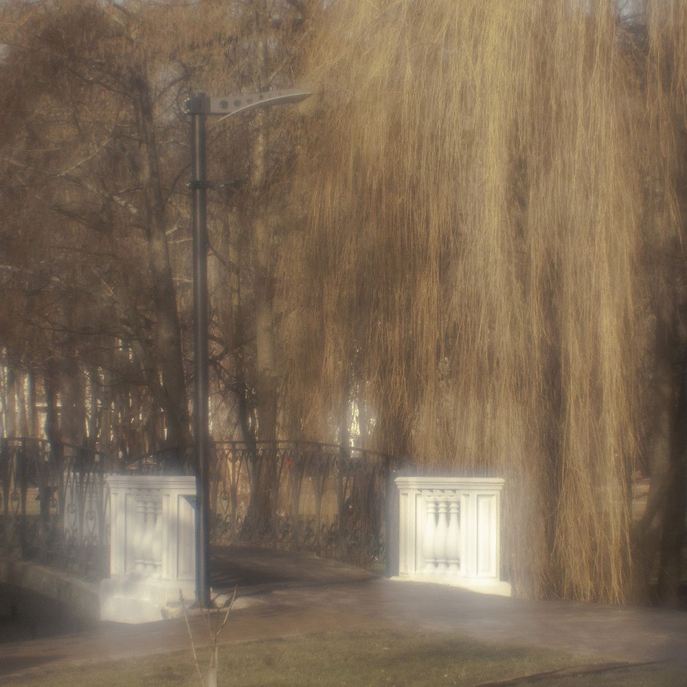 В парке