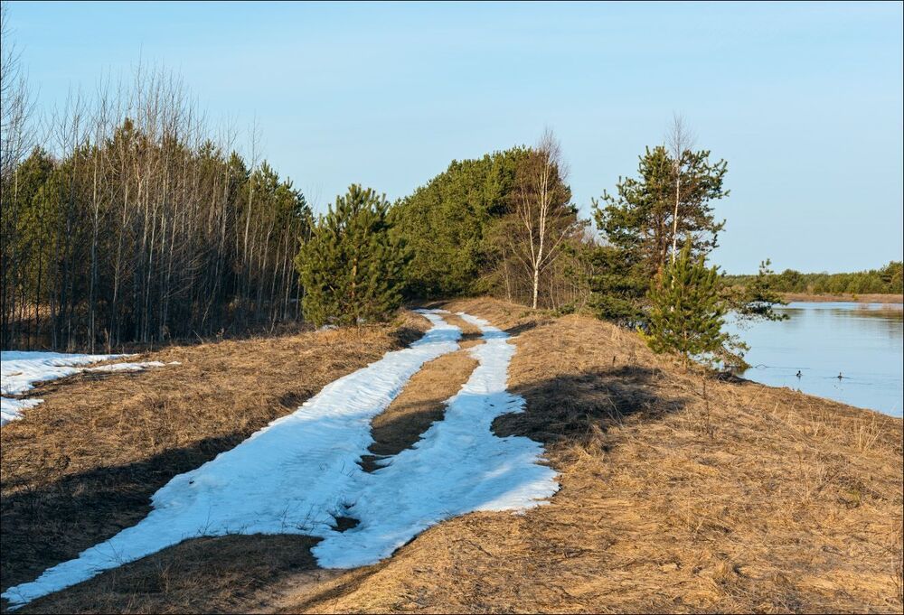 Апрельское утро