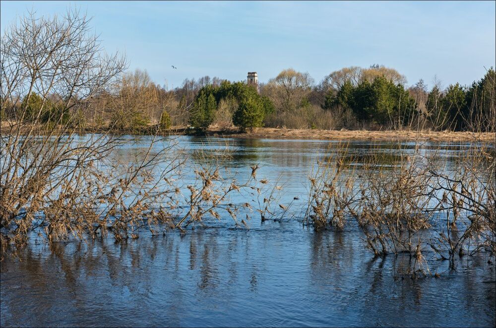 Указатели уровня воды