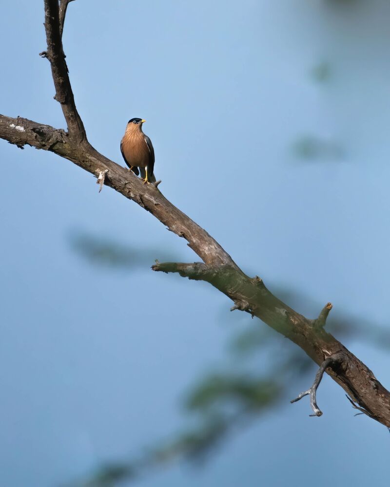 Photo 2166543