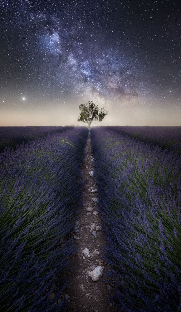 Hyperrealistic Landscape