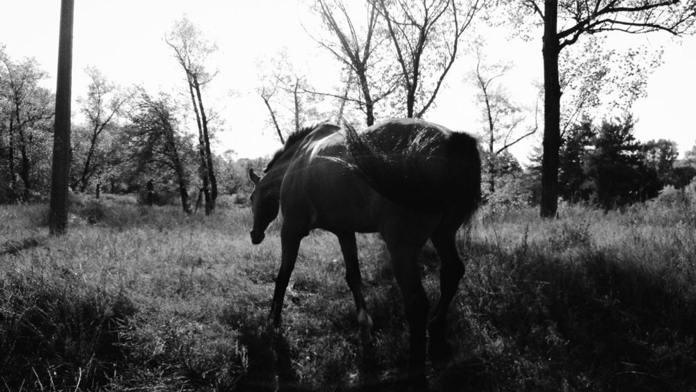 Photo 2167031