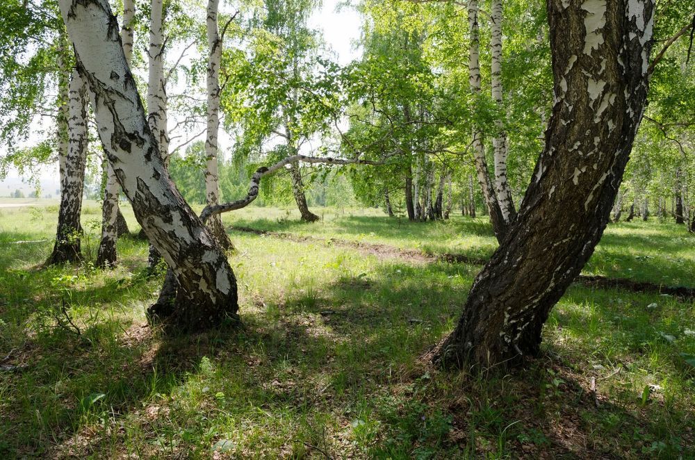 Горы малого Кизила