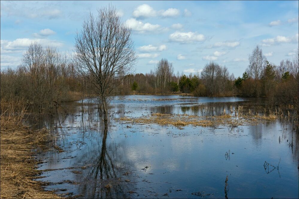 Полетели весенние облачка