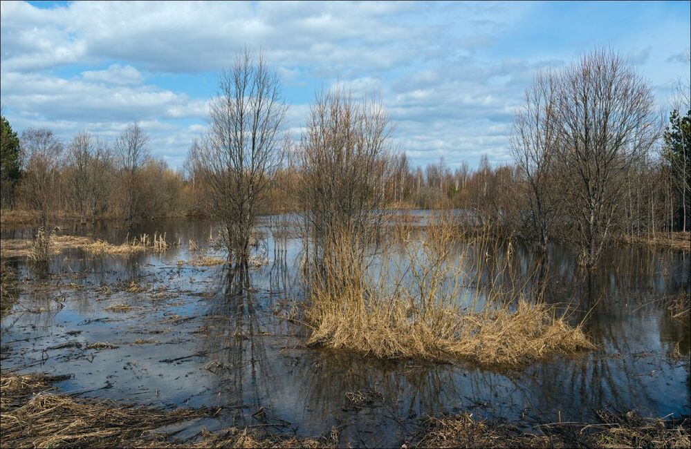День на притопленных лугах