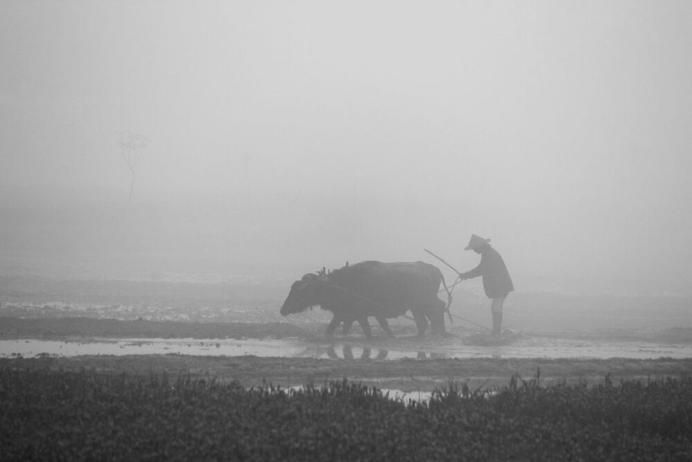 Photo 2167871