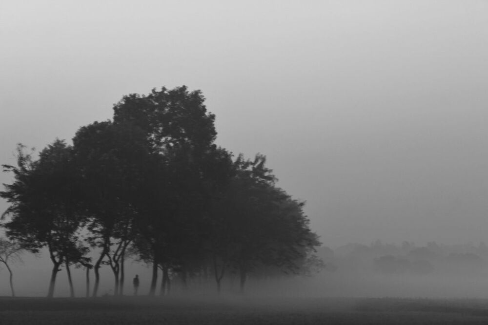 Photo 2167878