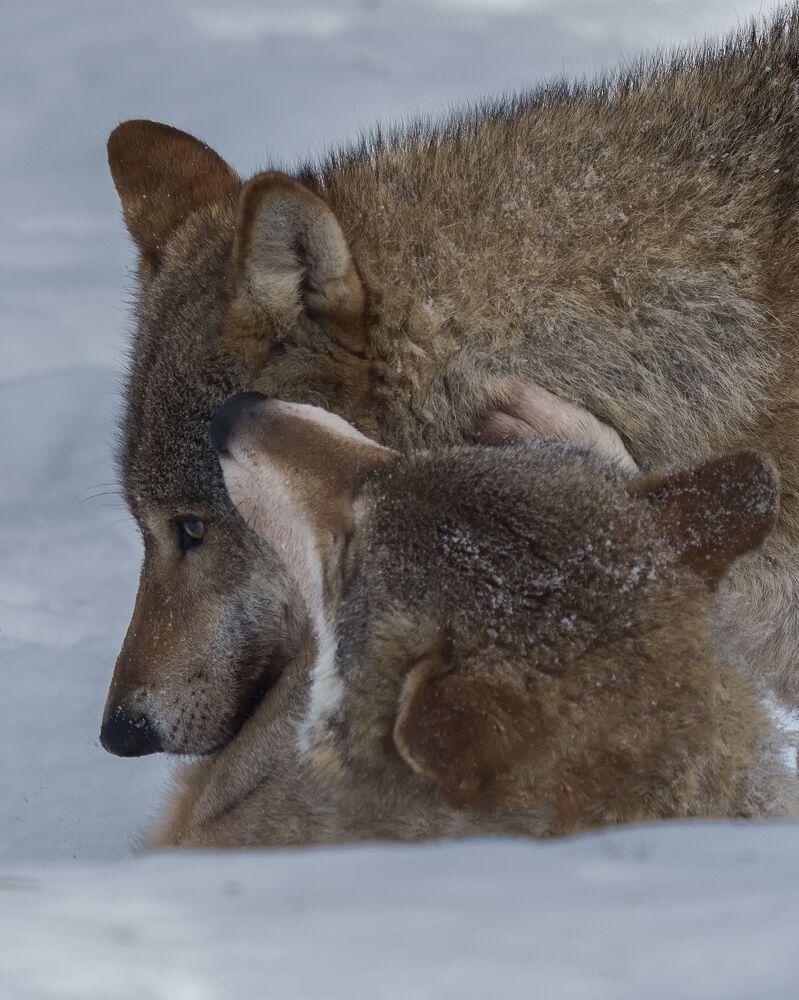Photo 2168695
