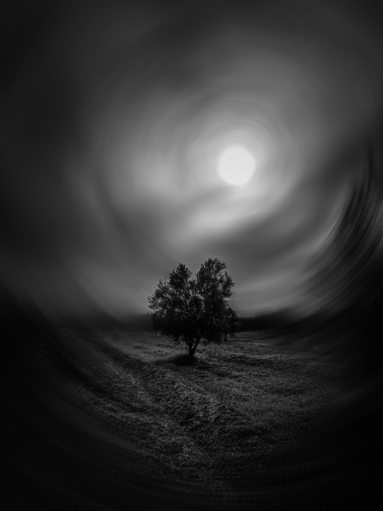 Life in black and white
