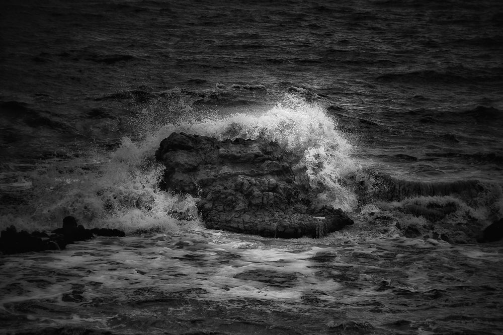 Life in black and white