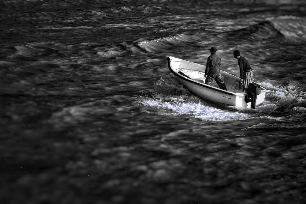 Life in black and white
