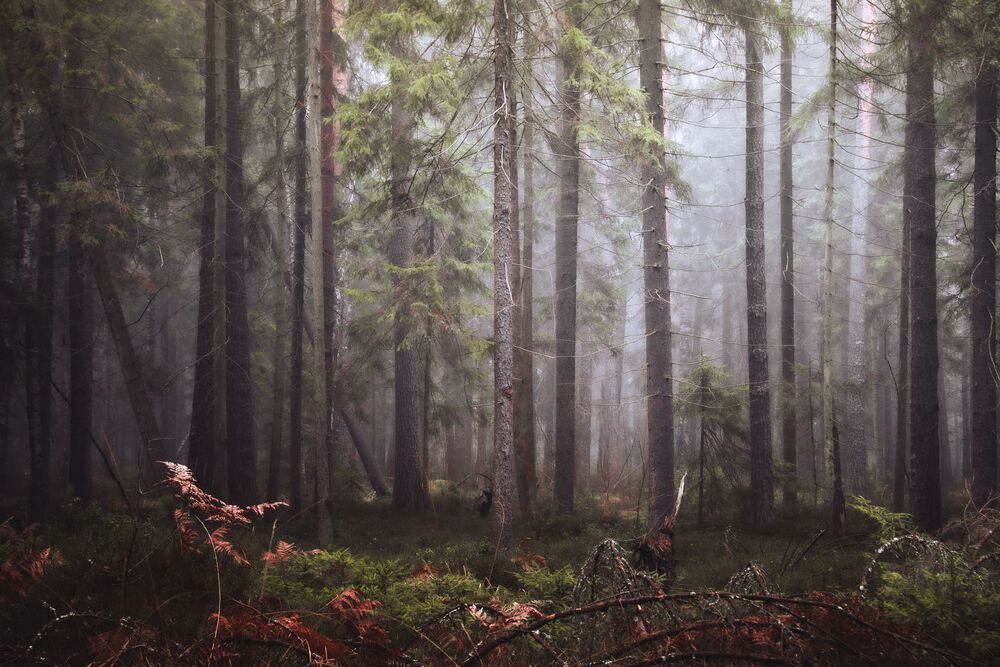 Пейзажи