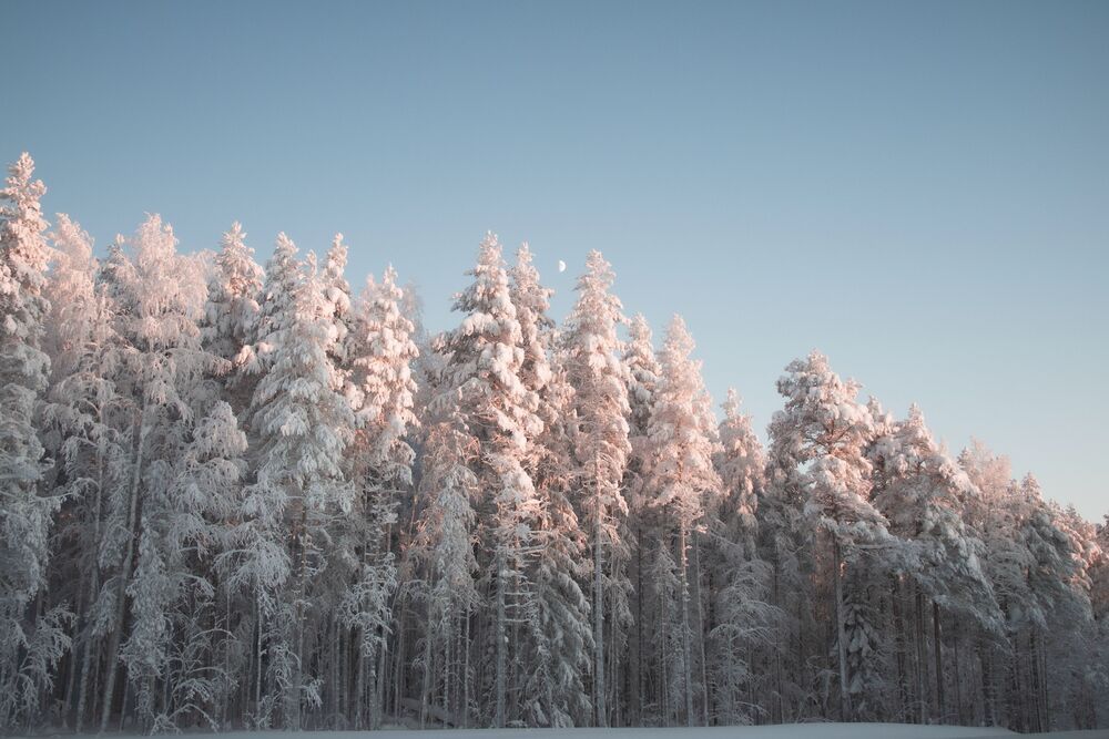 Пейзажи