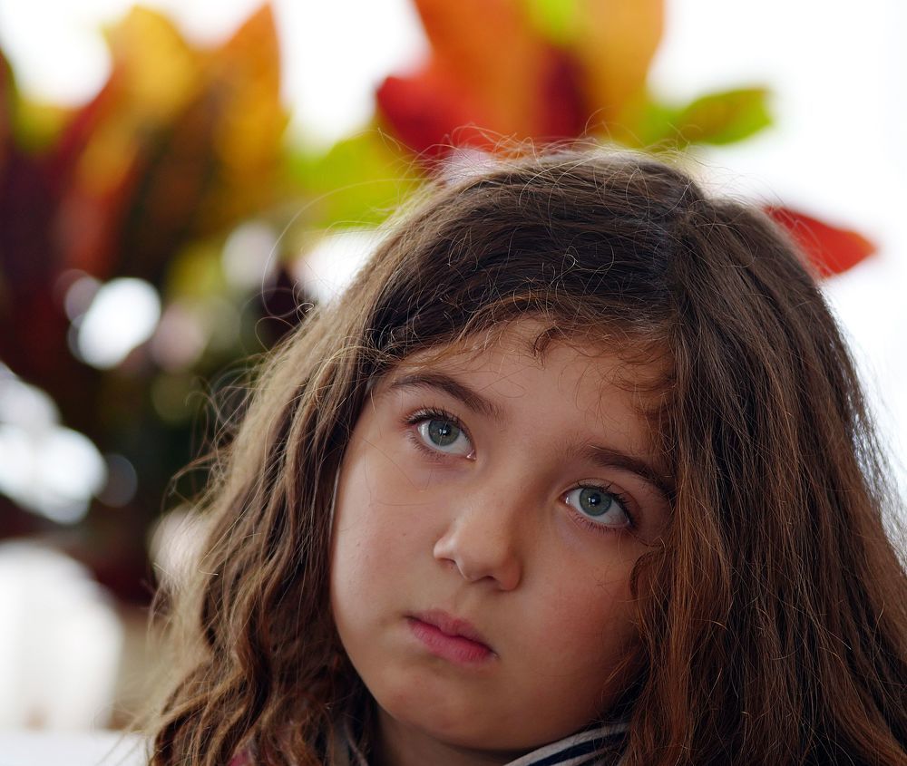 Alaia