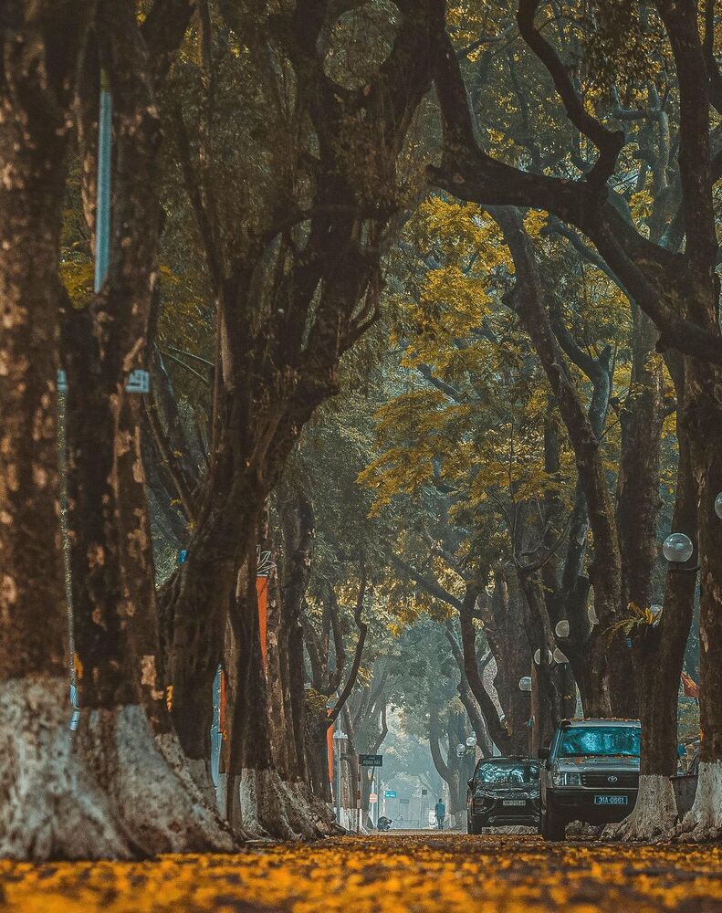 sắc m&agrave;u