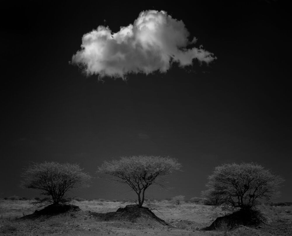 Photo 2171796