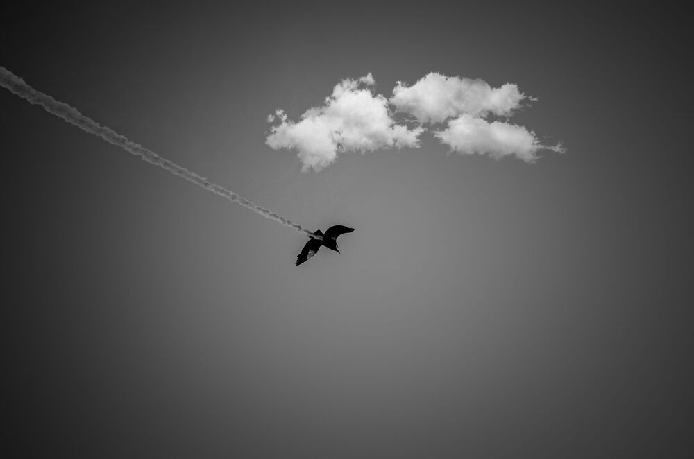 Photo 2171803