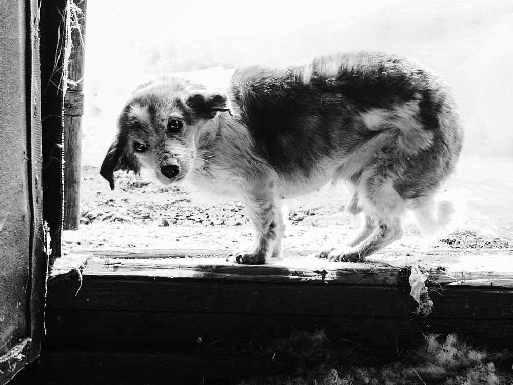 Photo 2172079
