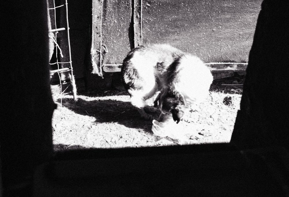 Photo 2172080