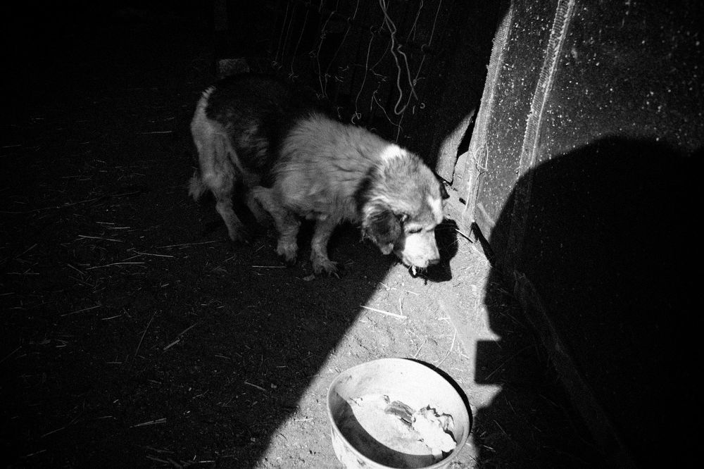 Photo 2172081