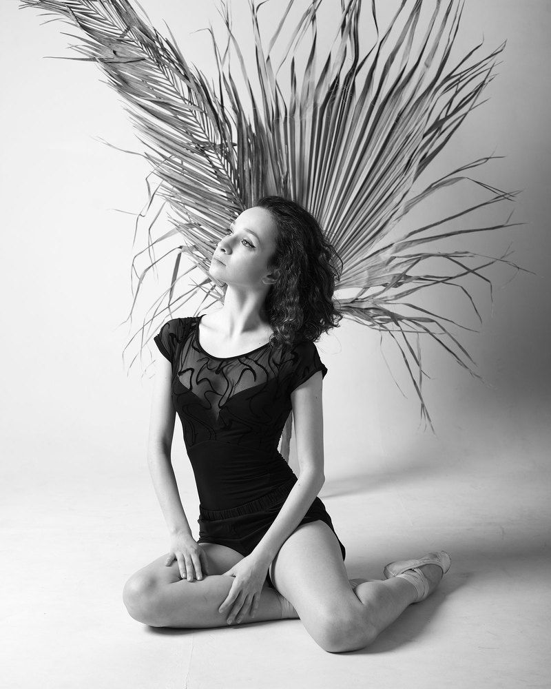 Photo 2172259
