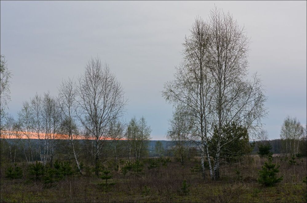 Утро стало пасмурным