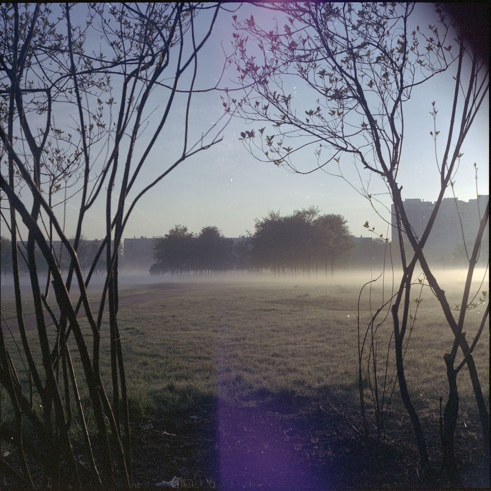 Пленка | Film 6x6