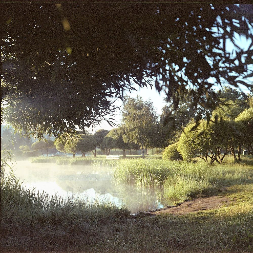 Пленка | Film 6x6
