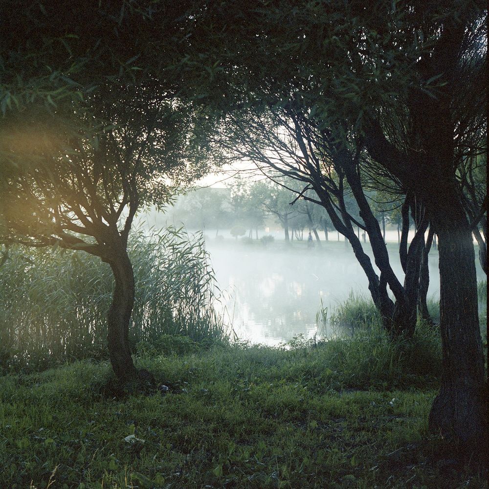 Пленка | Film 6x6