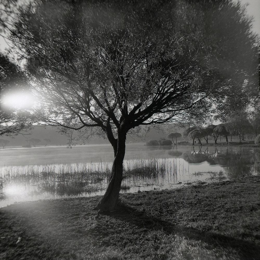 Пленка | Film 6x6
