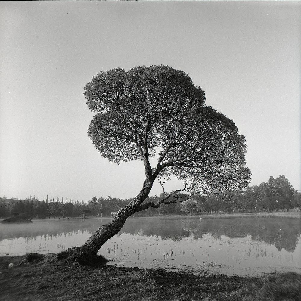 Пленка | Film 6x6