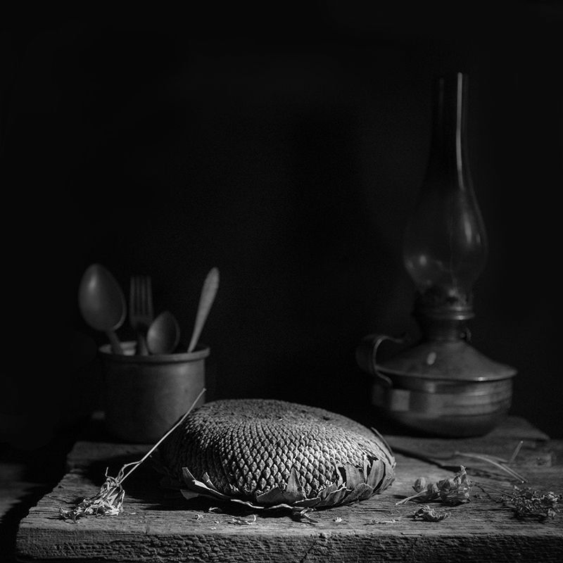 Photo 2172939