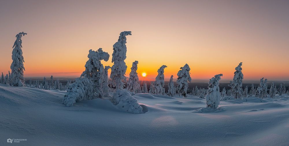 Стражи зимы