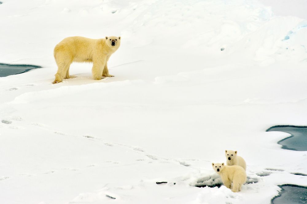 Photo 2173462