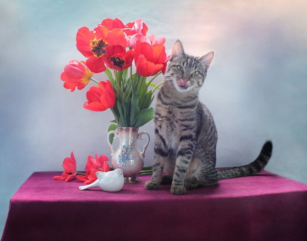 Коты и тюльпаны - часть 2 :)