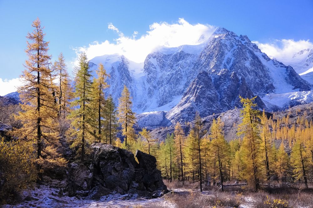 Осень в горах Алтая