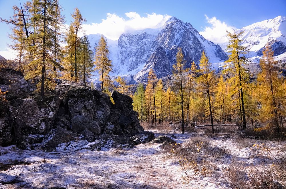 Осень в горах Алтая