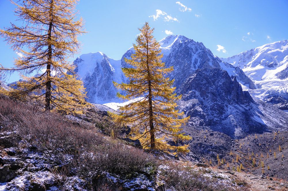 Осень в горах Алтая
