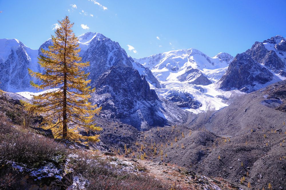 Осень в горах Алтая
