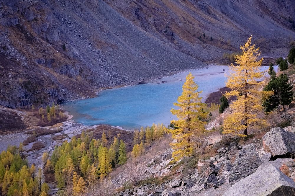 Осень в горах Алтая