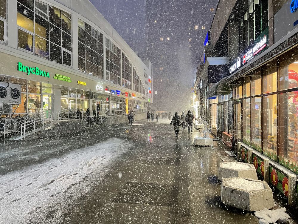 Метель. Сокольники. Москва