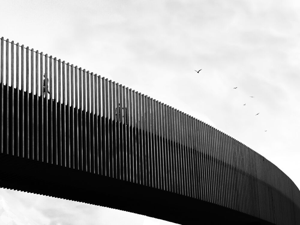 black and white