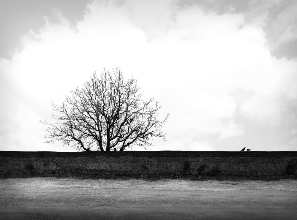 black and white